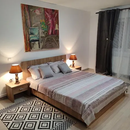 The Traveller's Nest Apartment Nehoiu