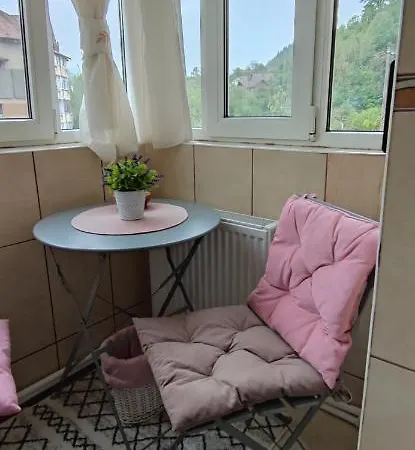 The Traveller's Nest Apartment *